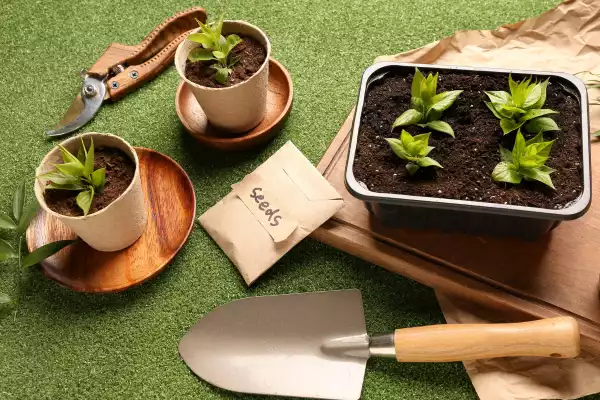 Soluções Modulares de Baixo Custo para Jardins Compactos: Kits, Materiais e Técnicas para Iniciantes
