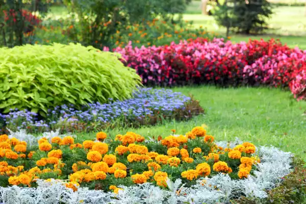 Cores Botânicas: Como Criar Paletas Naturais no Artesanato