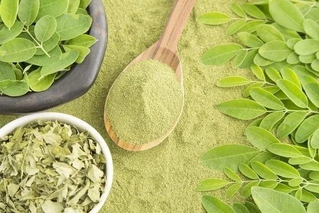 moringa-oleifera