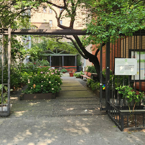 Jardinagem Comunitária: Transformando Espaços Urbanos em Lazer