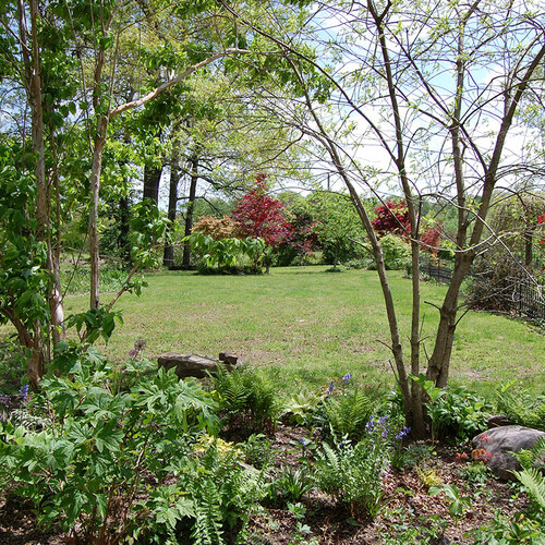 Jardinagem na Primavera: Transformando Espaços com Cor e Vida